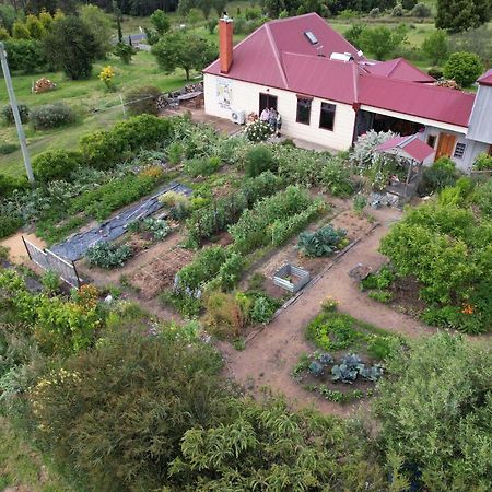 Cherry Top Farmstay - Boutique Eco Village Lilydale Dış mekan fotoğraf