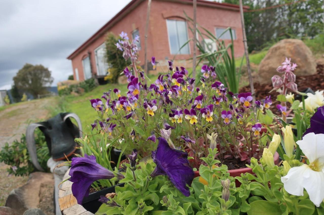 Cherry Top Farmstay - Boutique Eco Village Lilydale Dış mekan fotoğraf
