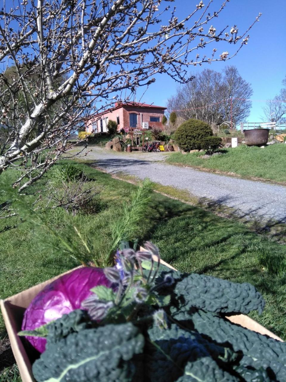 Cherry Top Farmstay - Boutique Eco Village Lilydale Dış mekan fotoğraf