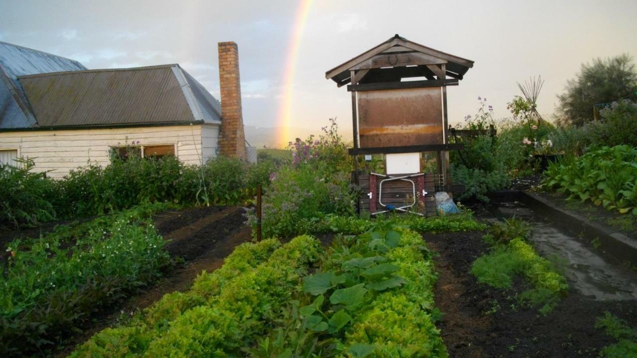Cherry Top Farmstay - Boutique Eco Village Lilydale Dış mekan fotoğraf
