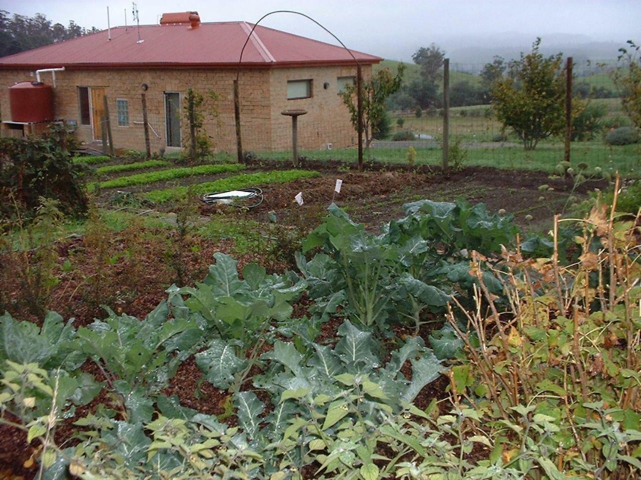 Cherry Top Farmstay - Boutique Eco Village Lilydale Dış mekan fotoğraf