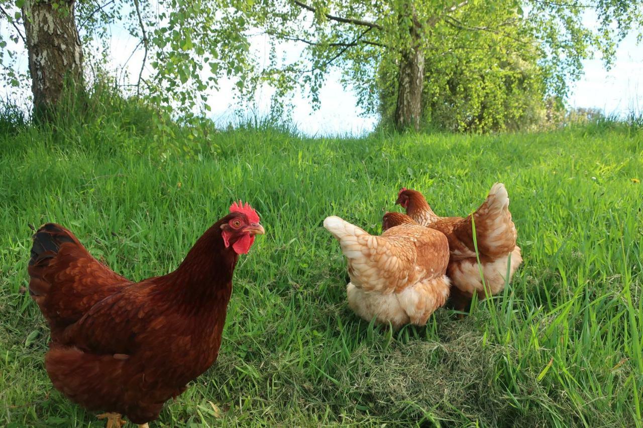 Cherry Top Farmstay - Boutique Eco Village Lilydale Dış mekan fotoğraf